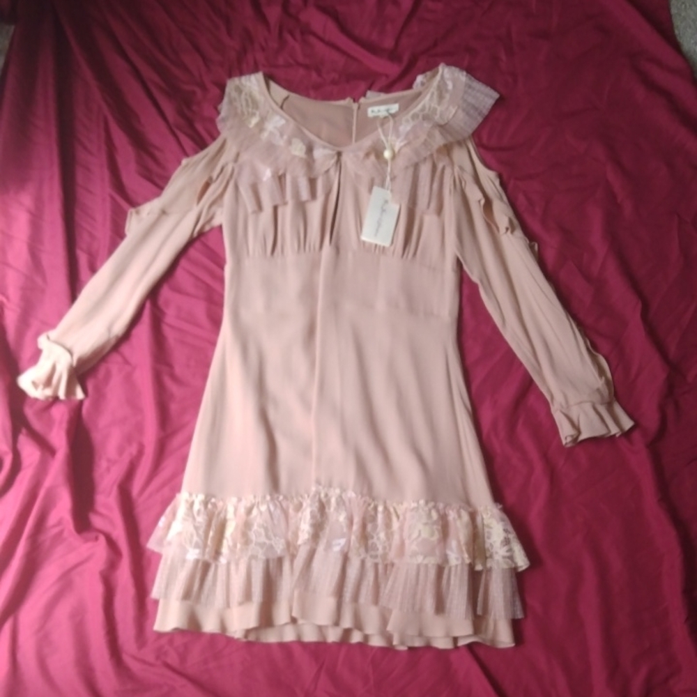 For Love And Lemons Light Pink Dress with Bishop Sleeves